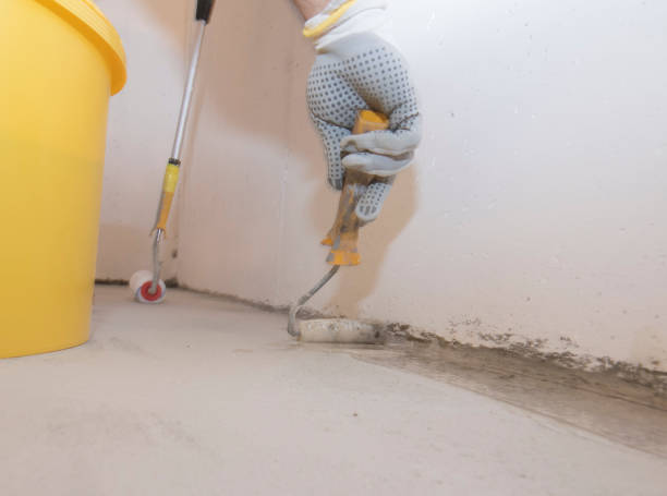 Best Fumigation Services  in Macon, MS